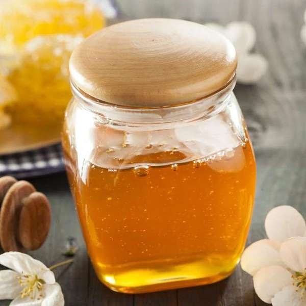 Honey pure, wild, natural, San Diego – 500ml